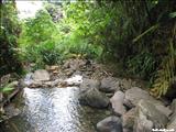 Bosque Nacional El Yunque - LUQUILLO